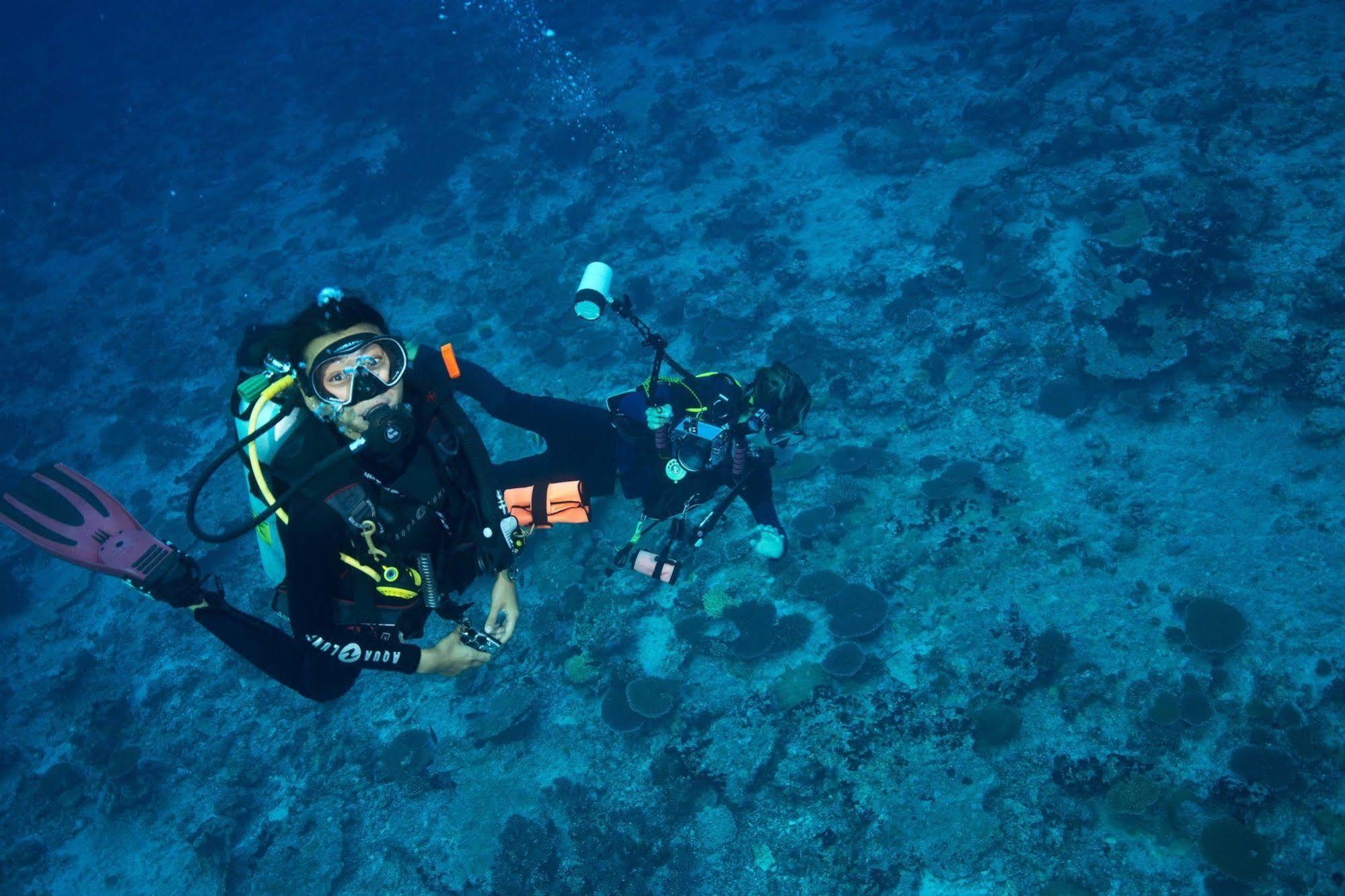 The Maldives Complex